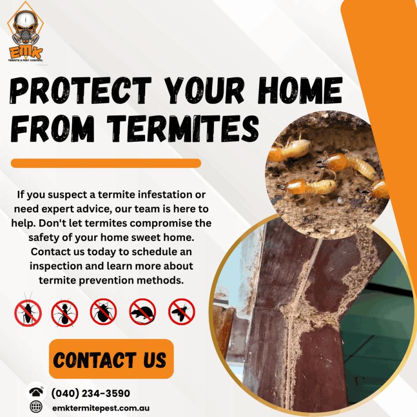 How Professional Termite Treatment Sydney Protects Your Property
