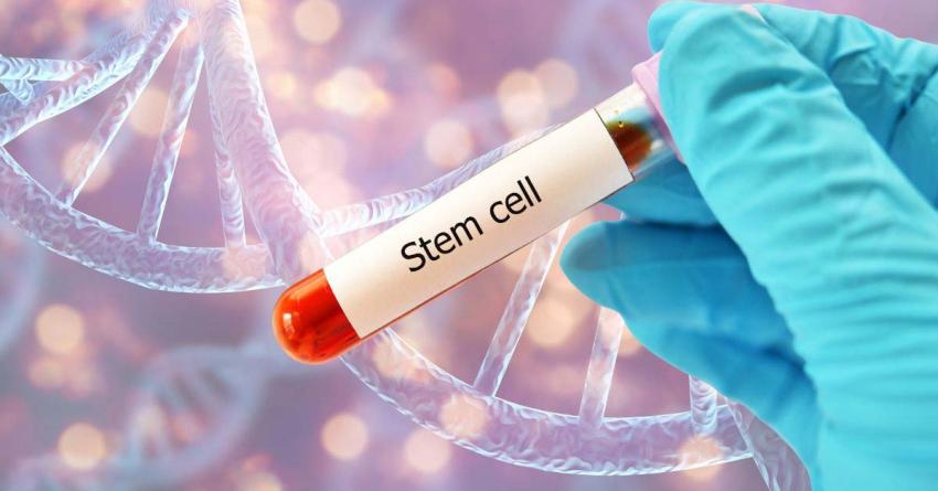 How Stem Cell Therapy Is Transforming Modern Healthcare