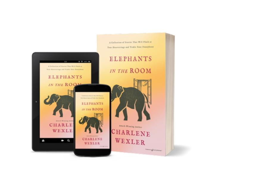 Book 'Elephants In The Room' Published by Speaking Volumes