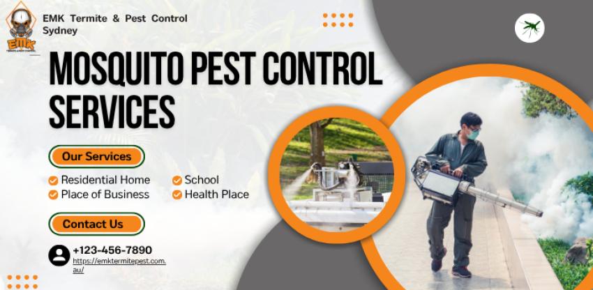 Top 10 Ways to Prevent Mosquitoes Around Your Sydney Property