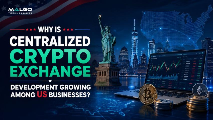 Why Is Centralized Crypto Exchange Development Growing Among US Businesses?