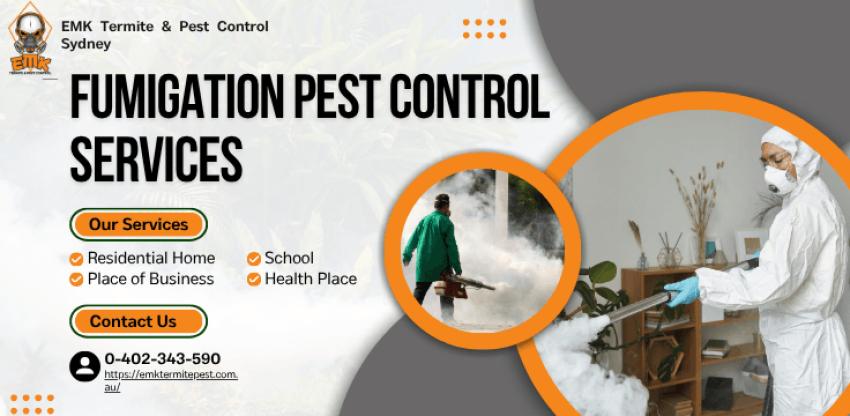 How Fumigation Protects Sydney Homes from Severe Pest Infestations