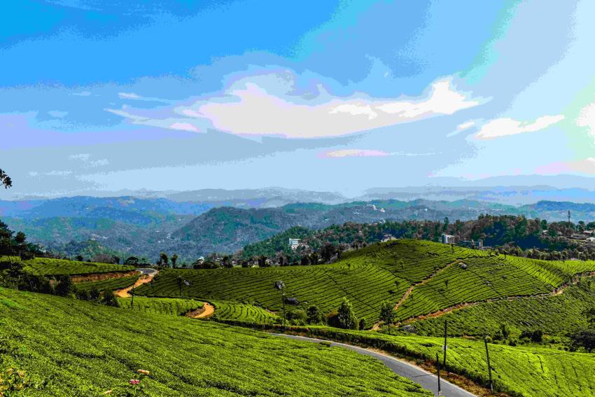 Kerala Tour with Houseboat and Hill Stations