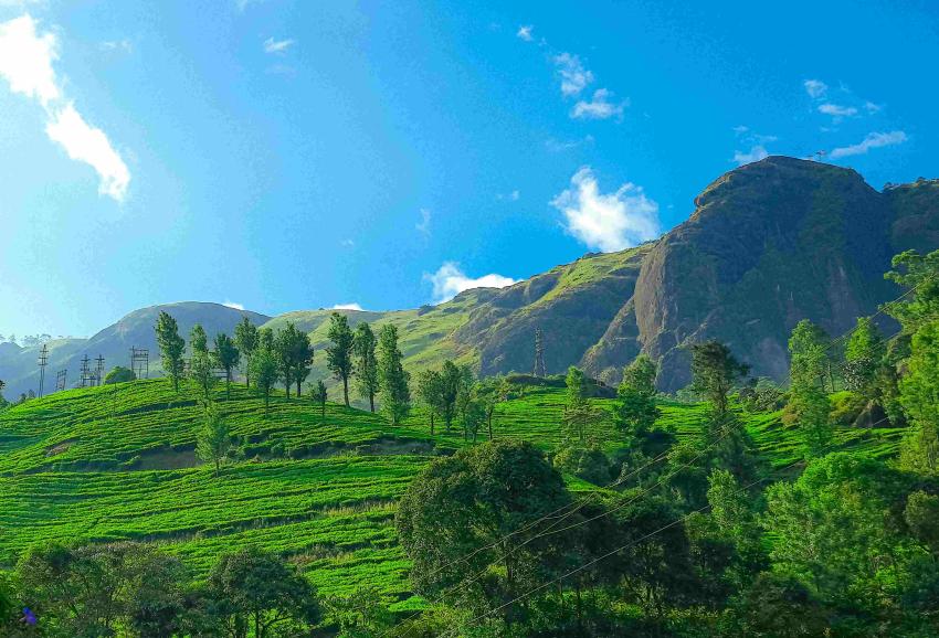 Best Kerala Family Tour Itinerary