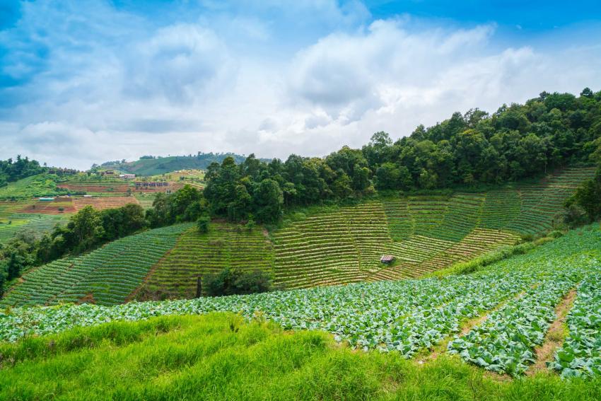 How to Book Kerala Tour Packages from Delhi