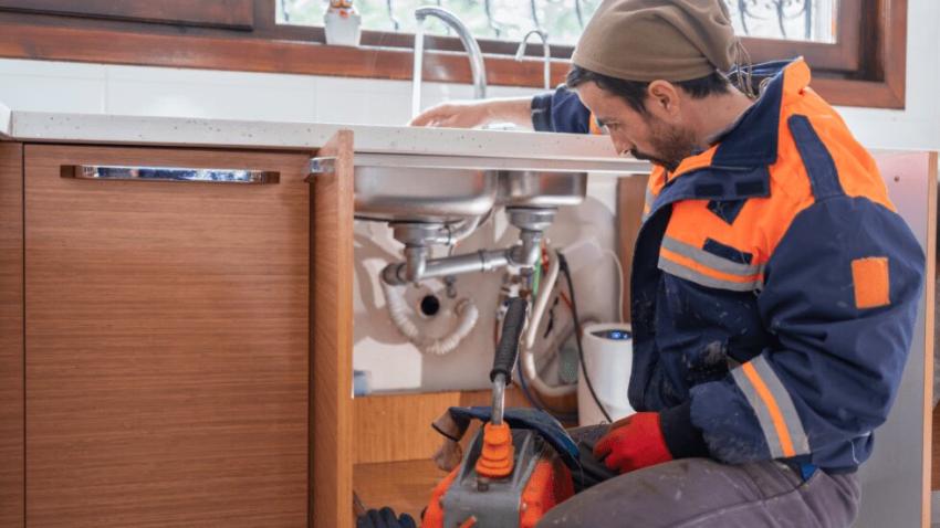 How Tree Roots Can Cause Sudden Drain and Sewer Problems in Dallas