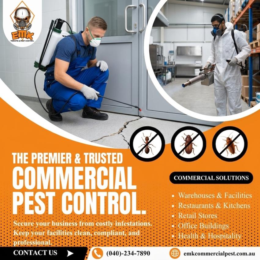 The Importance of Pest Control for Sydney Food Businesses: What Tenants Need to Know