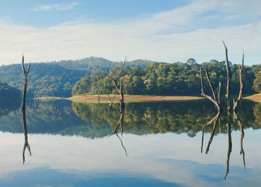 Kerala Tour Package: The Ultimate 7-Day Travel Itinerary