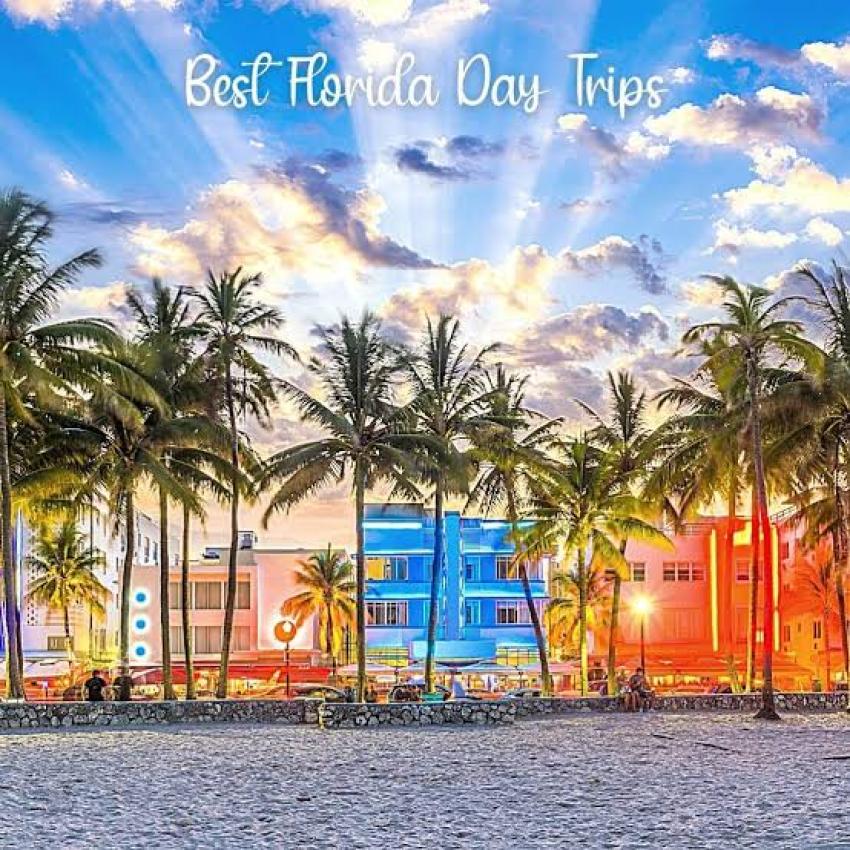 What Should You Pack for a Month-Long Trip to Florida