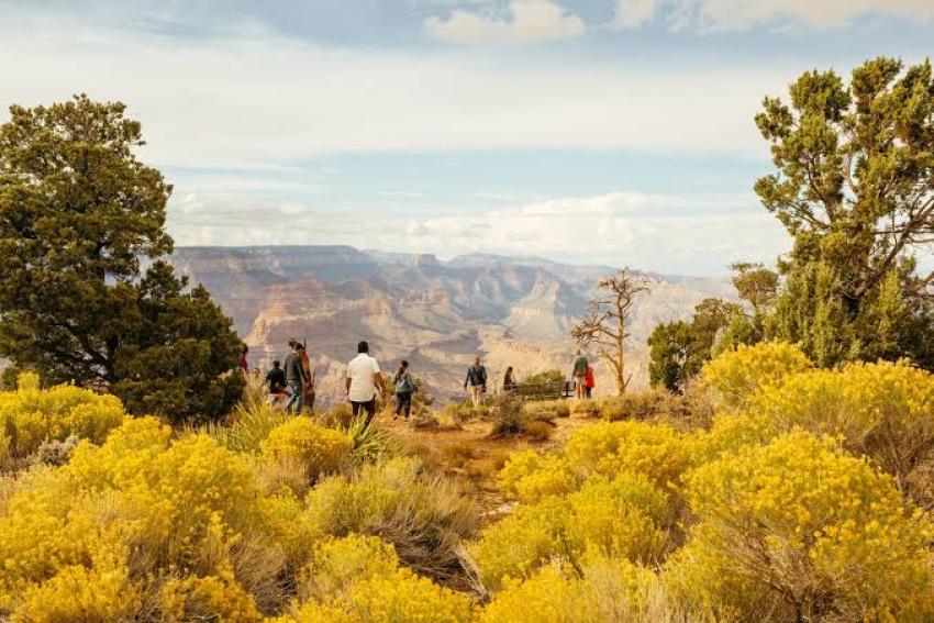 Visiting the USA for the First Time Essential Things Every Traveller Should Know